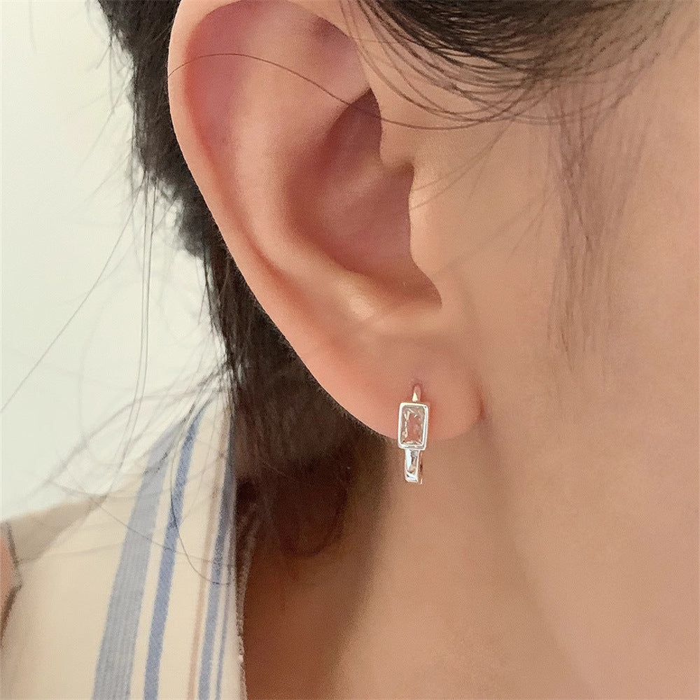 Special-interest Design S925 Sterling Silver Zircon Earrings For Women