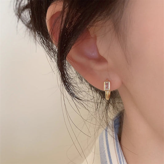 Special-interest Design S925 Sterling Silver Zircon Earrings For Women